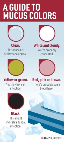 mucus in tagalog